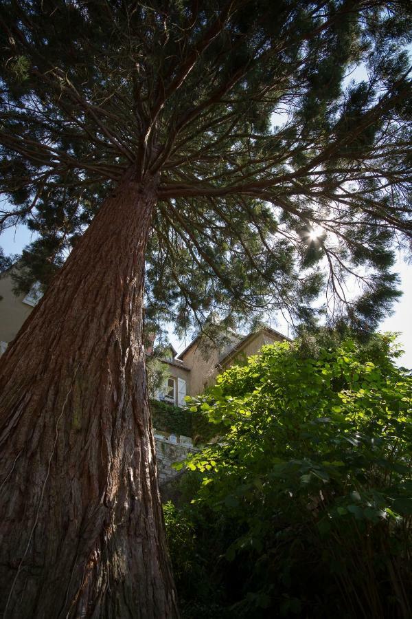 Le Fassardy Bed & Breakfast Châteauroux Exterior foto